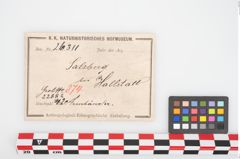 Etikett zu Bronzearmreif (NHMW-PRAE-026311)